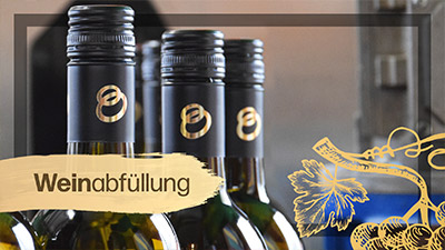 Weinabfüllung